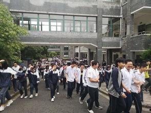 杭州学校爆料事件最新情况,真相逐步浮出水面，家长学生关注焦点揭晓