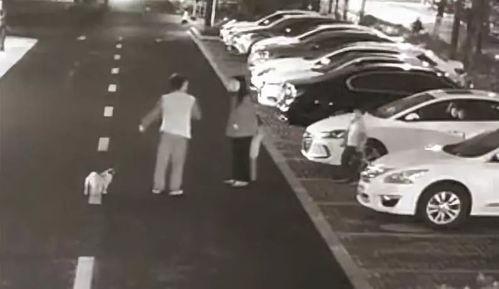 杭州徐女士最新爆料,揭秘某知名企业惊人内幕