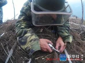 边境士兵爆料视频大全最新,揭秘真实战地生活与英勇瞬间